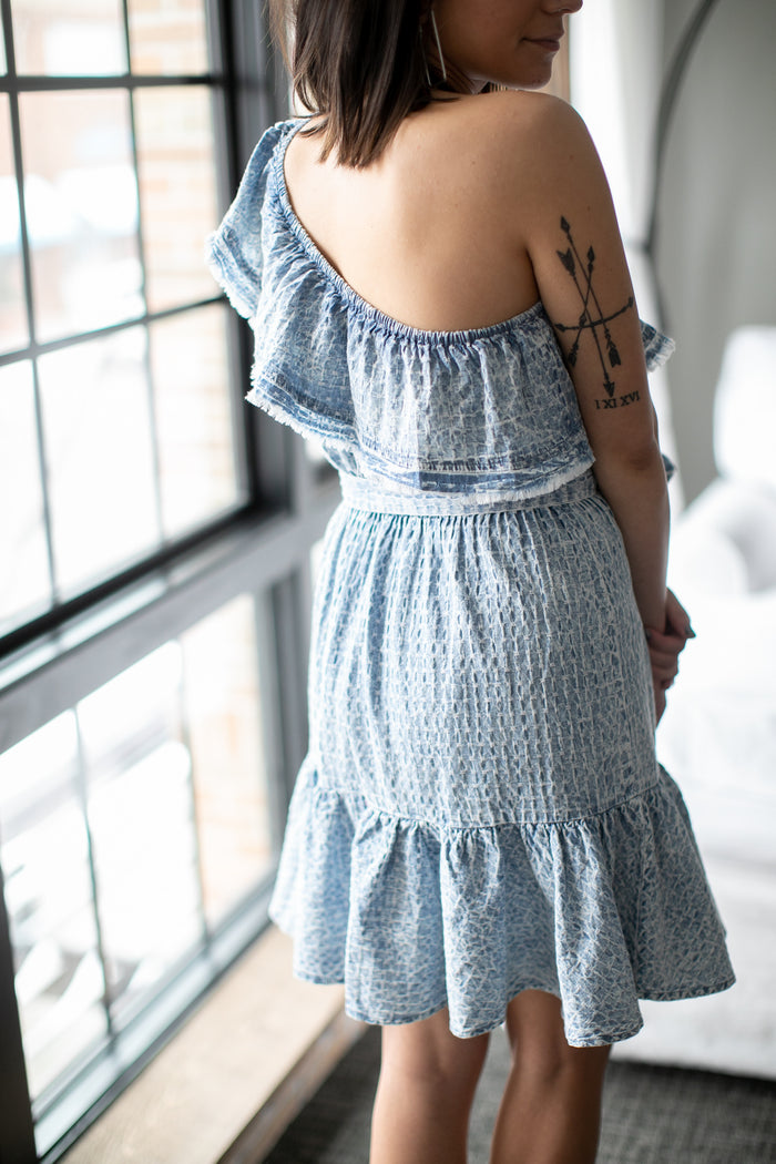 Short and Sweet Swiss Dot Denim Dress - *1 LEFT*